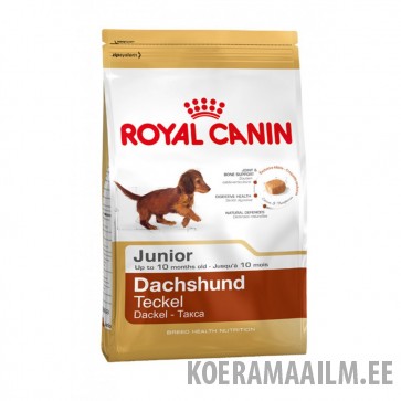 Royal Canin - DACHSHUND JUNIOR 1,5 kg