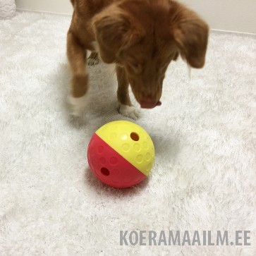 Nina Ottosson Dog Treat Tumble mänguasi koertele L