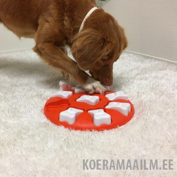 Nina Ottosson Dog Smart plastikust mänguasi koertele