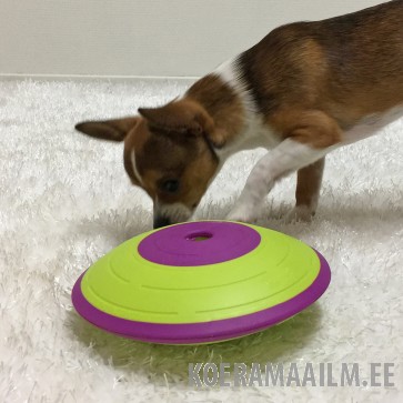 Nina Ottosson Dog Treat Maze mänguasi koertele