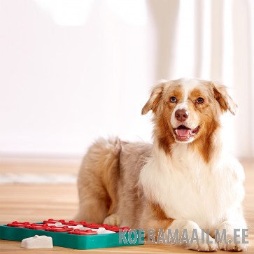 Nina Ottosson Dog Brick plastikust mänguasi koertele