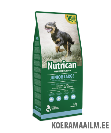 Nutrican koera täissööt Junior Large Breed 15kg
