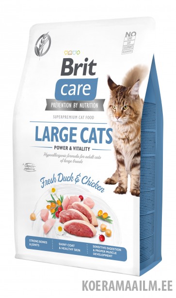 Brit Care Cat Grain-Free Large cats Power Vitality kassitoit 2 kg
