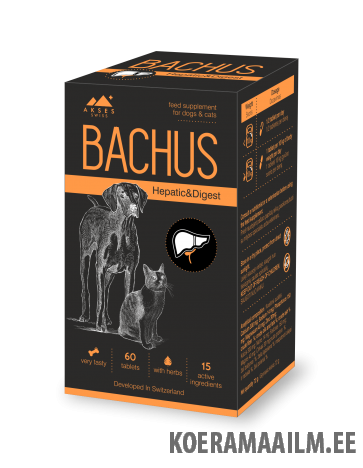 Bachus Hepatic&Digest N60