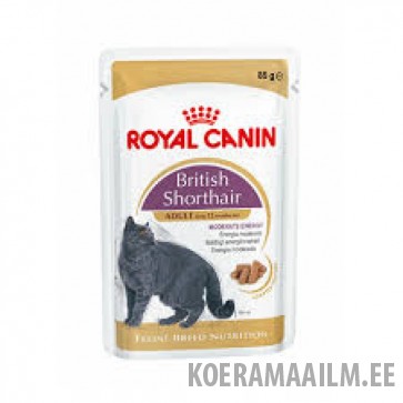 Royal Canin British Shorthair konserv 12*85g