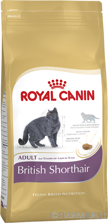 Royal Canin British Shorthair 4 kg