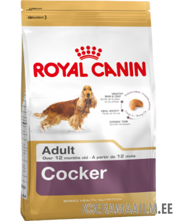 Royal Canin - COCKER ADULT 3 kg