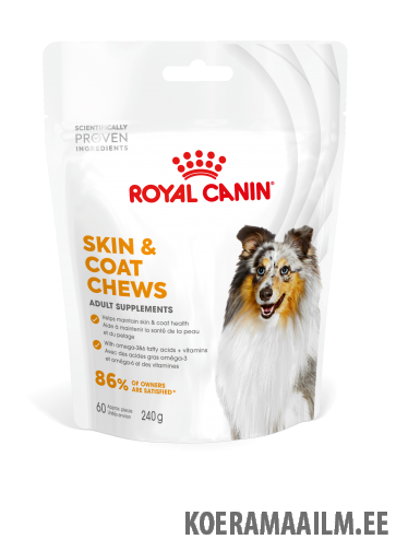 Royal Canin Skin & Coat Adult Dog 240g