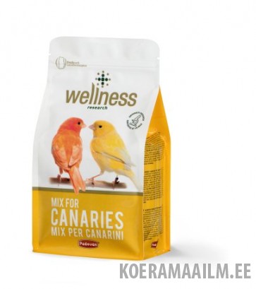 PD toit kanaarilinnu wellness 1kg