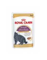 Royal Canin British Shorthair konserv 12*85g