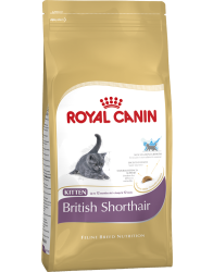 Royal Canin Kitten British Shorthair 10 kg