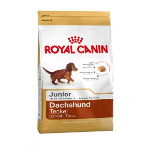 Royal Canin - DACHSHUND JUNIOR 1,5 kg