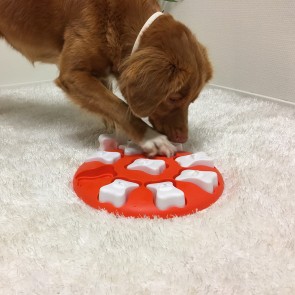 Nina Ottosson Dog Smart plastikust mänguasi koertele