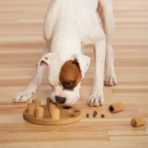 Nina Ottosson Dog Smart mänguasi koertele
