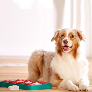 Nina Ottosson Dog Brick plastikust mänguasi koertele