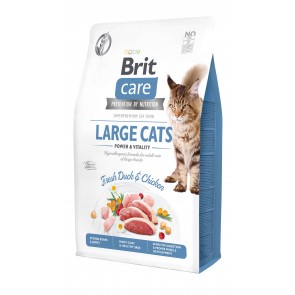 Brit Care Cat Grain-Free Large cats Power Vitality kassitoit 2 kg