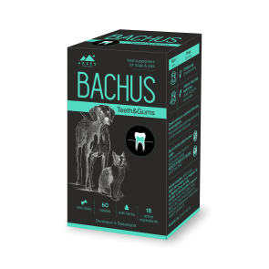 Bachus Bachus Teeth&Gums N60 tab