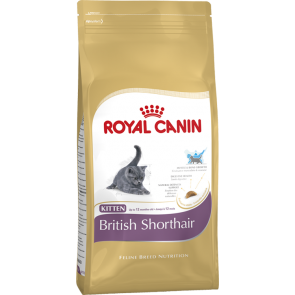 Royal Canin Kitten British Shorthair 10 kg