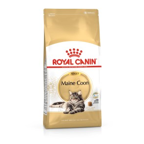 Royal Canin Maine Coon 10 kg + 2 kg TASUTA