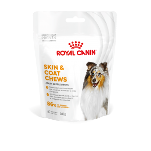 Royal Canin Skin & Coat Adult Dog 240g