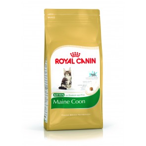 Royal Canin kitten Maine Coon 2kg