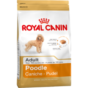 Royal Canin Poodle adult 1,5 kg