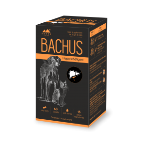 Bachus Hepatic&Digest N60